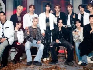 Des problèmes de réseau lors du concert de Seventeen à Incheon