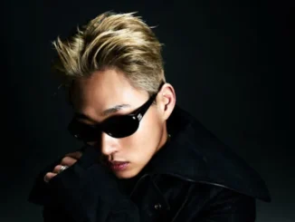 Swings, de retour en 2024