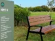 Une deuxième forêt au nom de Seventeen