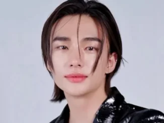 Hyunjin fait un don pour son anniversaire