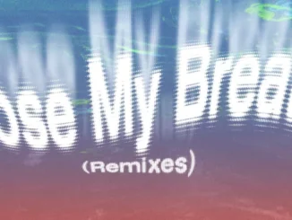 Remix de Lose my breath