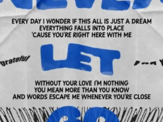 Sortie de la chanson fan Never Let Go par BTS