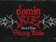dominATE by Stray Kids
