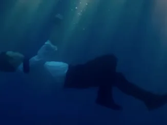 The Young Man and the Deep Sea en documentaire