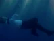 The Young Man and the Deep Sea en documentaire