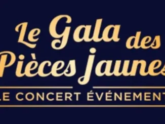 Le must de la K-pop au Gala des pièces jaunes 2025