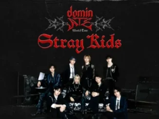 Stray Kids annonce de nouvelles dates de concert