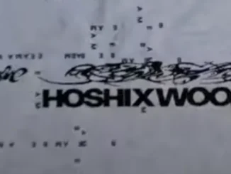 Hoshi et Woozi en duo