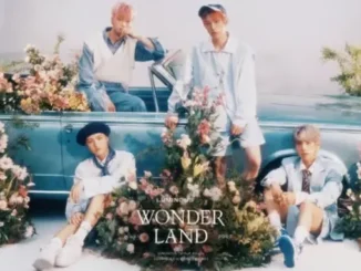 Fin du groupe LUMINOUS