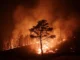 Les idols mobilisés face aux incendies