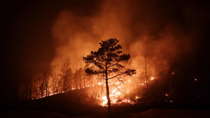 Les idols mobilisés face aux incendies Les idols mobilisés face aux incendies