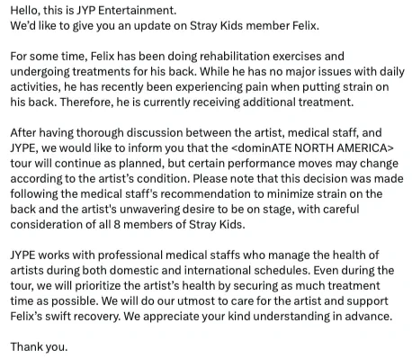 felix stray kids,stray kids felix,felix injury,felix douleur dos