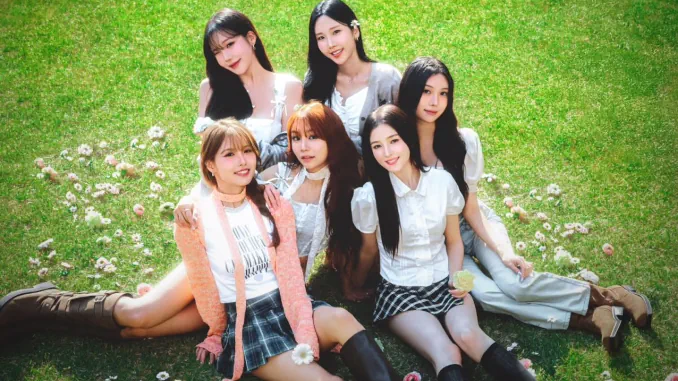 MOMOLAND reprend ses activités MOMOLAND reprend ses activités