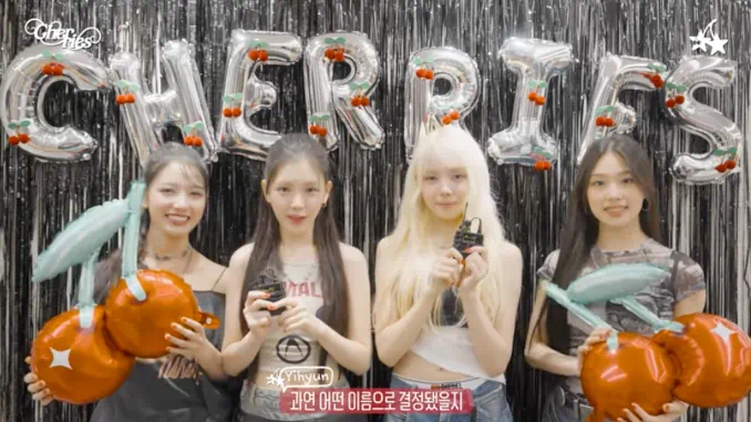 Baby DONT Cry nomme son fandom