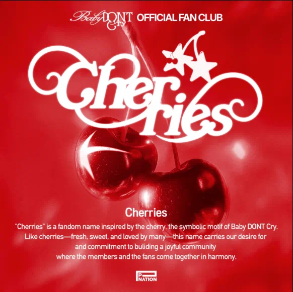 baby don't cry kpop,baby dont cry fandom,baby don't cry news,baby don't cry cherries