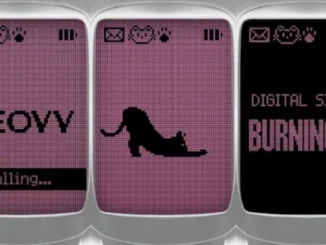 MEOVV revient le 14 octobre 2025