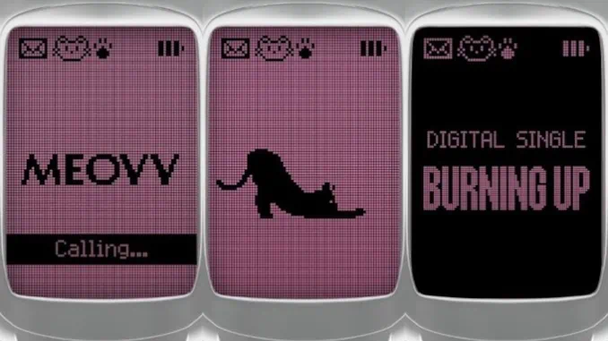 MEOVV revient le 14 octobre 2025