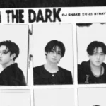 STRAY KIDS x DJ Snake : ‘In the Dark’ est sorti !