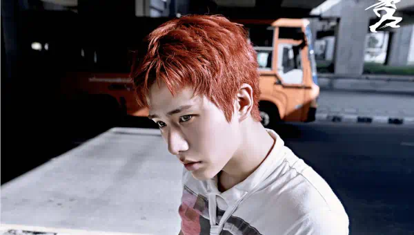 DAILY:DIRECTION, EN-KIM