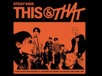 L'affiche de sortie de l'EP 'This & That' de STRAY KIDS